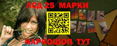 прущие грибы Краснодар
