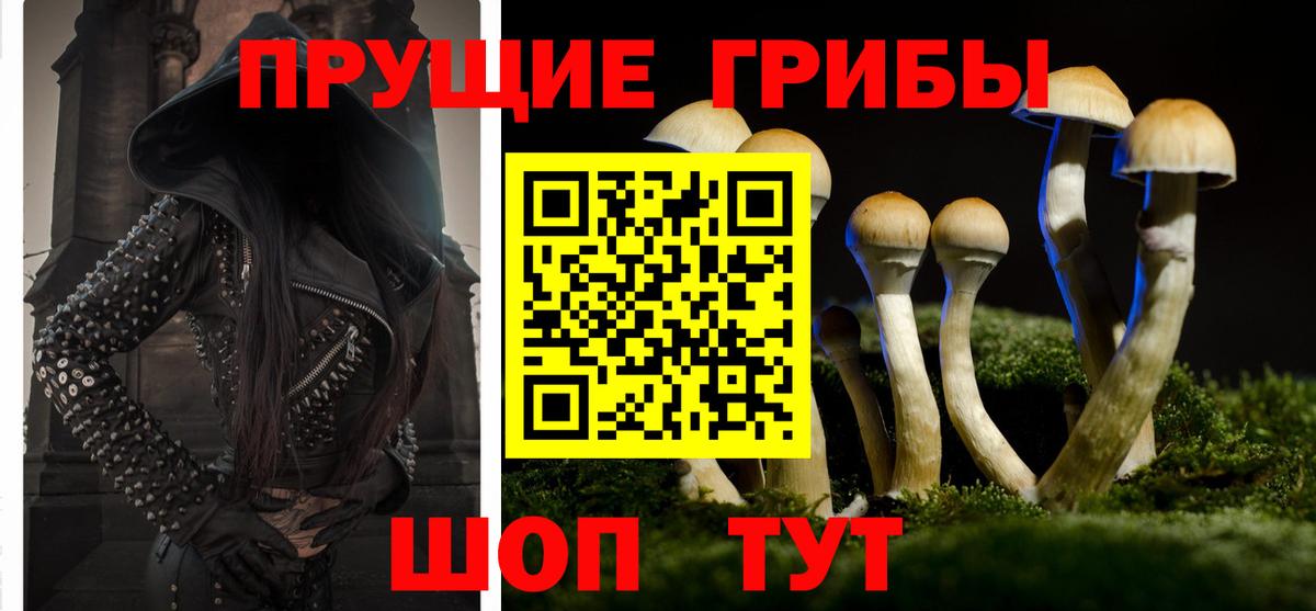 Галлюциногенные грибы мухоморы  Вход с VPN  хочу наркоту  Якутск  Псилоцибиновые грибы прущие грибы 