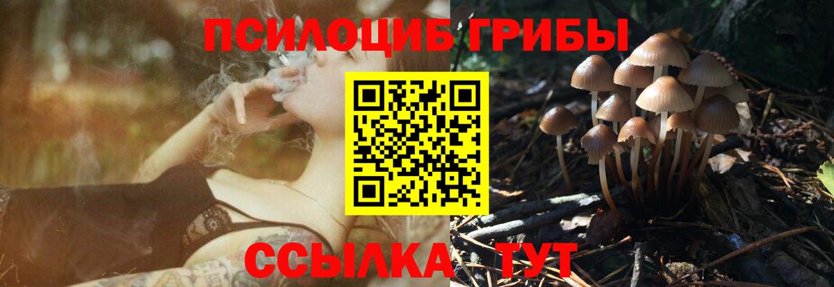 Псилоцибиновые грибы Psilocybine cubensis Якутск